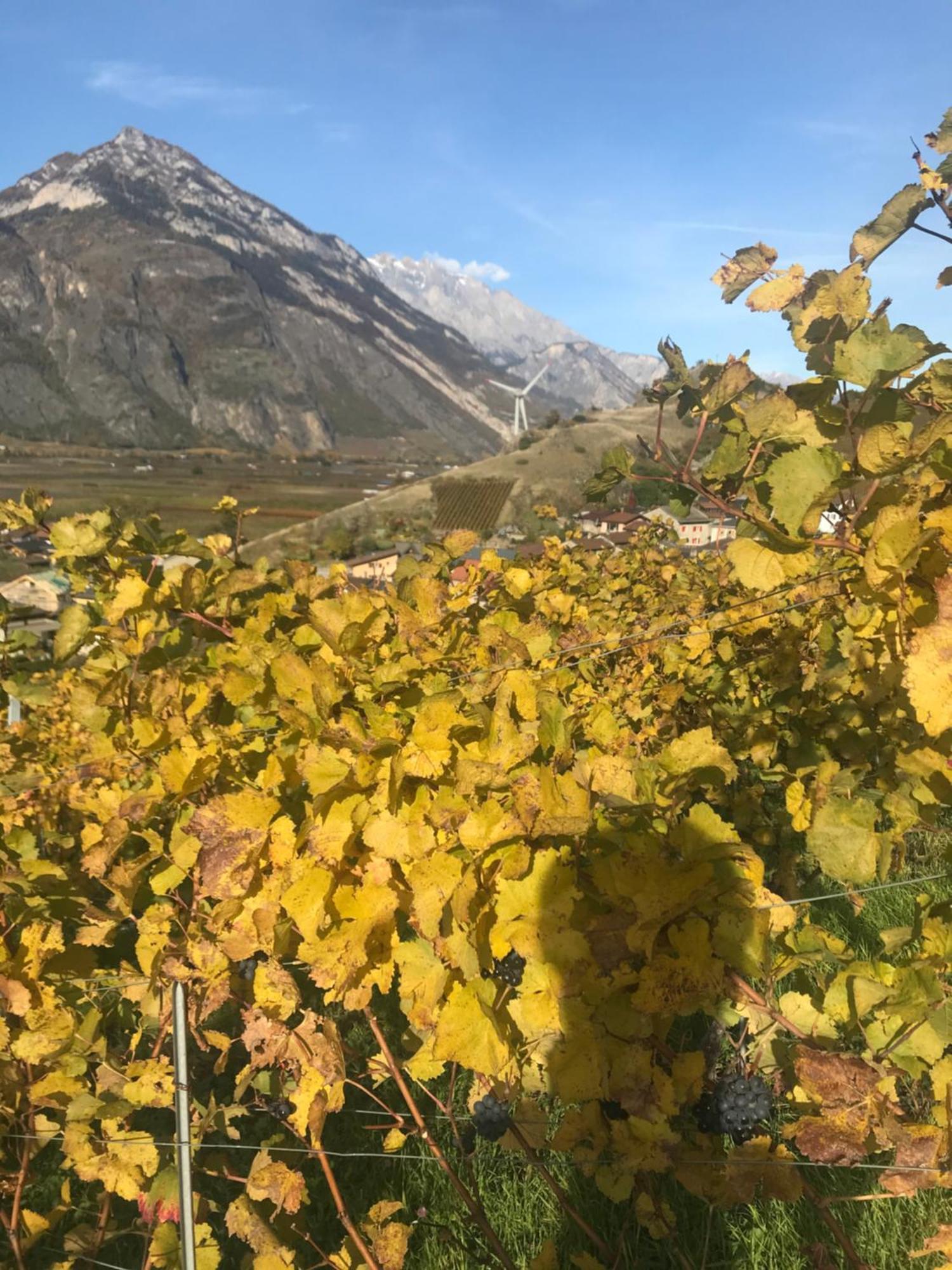 Studio Martigny Taou Eksteriør bilde